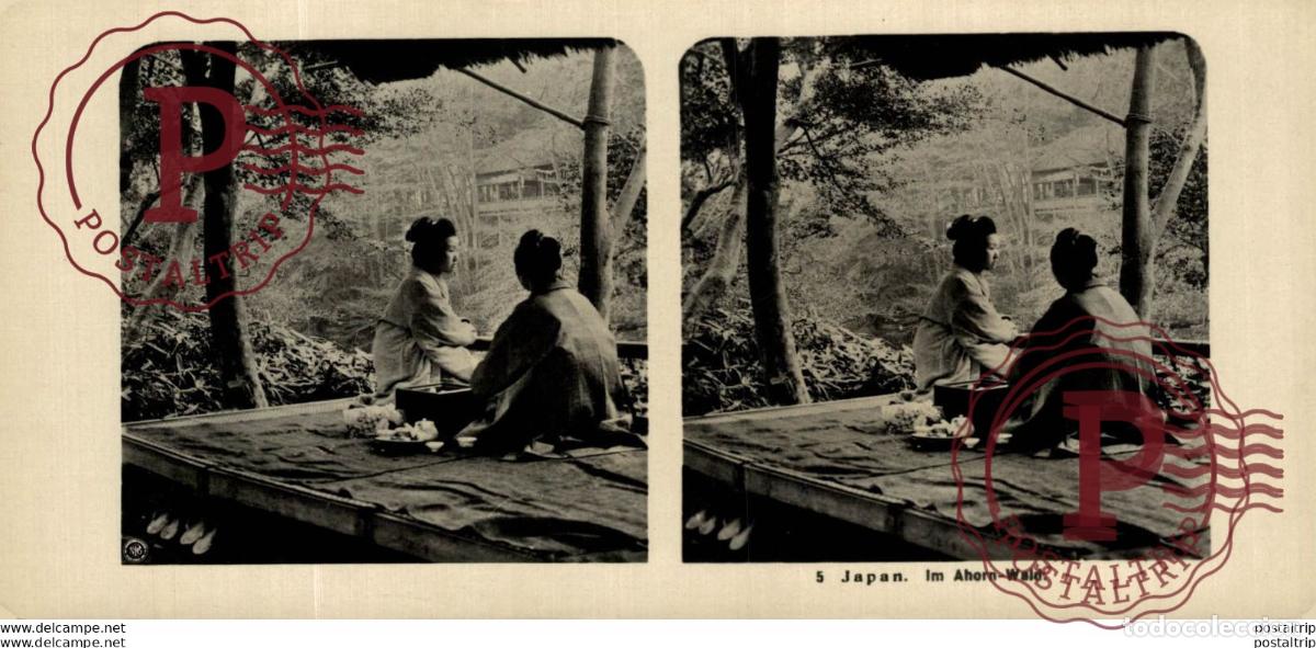 Fotograf&iacute;a antigua: JAPAN. JAPON. IN AHORN-WALD. ESTEREOSCOPICA - ST&Eacute;R&Eacute;OSCOPIQUE - STEREOSCOPIC