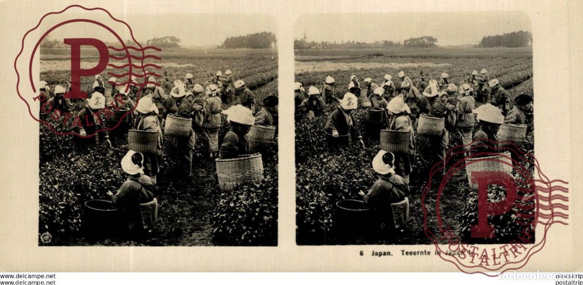 Fotograf&iacute;a antigua: JAPAN. JAPON. TEEERNTE IN JAPAN I. ESTEREOSCOPICA - ST&Eacute;R&Eacute;OSCOPIQUE - STEREOSCOPIC