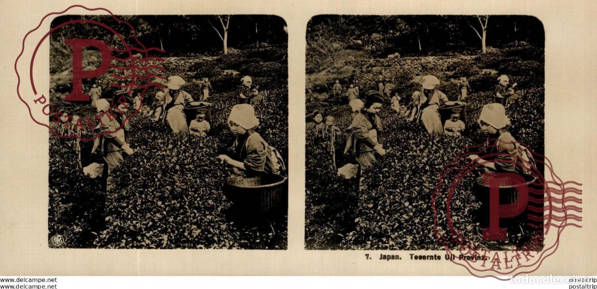 Fotograf&iacute;a antigua: JAPAN. JAPON. TEEERNTE UJI PROVINZ. ESTEREOSCOPICA - ST&Eacute;R&Eacute;OSCOPIQUE - STEREOSCOPIC