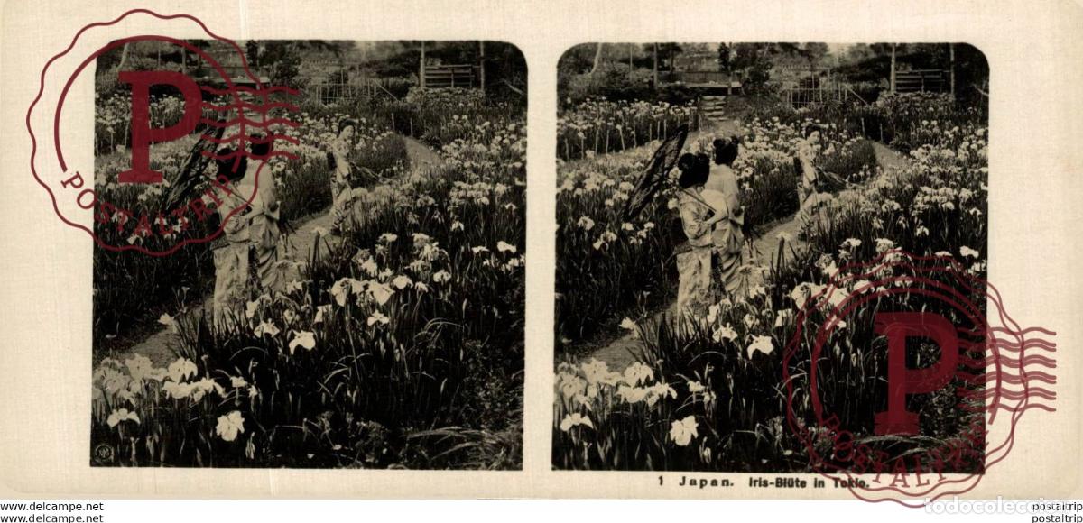 Antique Photography: JAPAN. JAPON. IRIS BIUTE IN TOKIO. ESTEREOSCOPICA - ST&Eacute;R&Eacute;OSCOPIQUE - STEREOSCOPIC