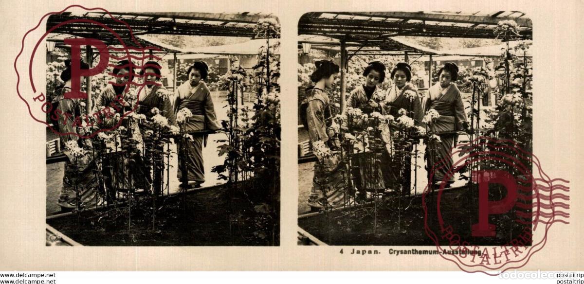 Antique Photography: JAPAN. JAPON. CRYSANTHEUM-AUSSTELLUNG. ESTEREOSCOPICA - ST&Eacute;R&Eacute;OSCOPIQUE - STEREOSCOPIC