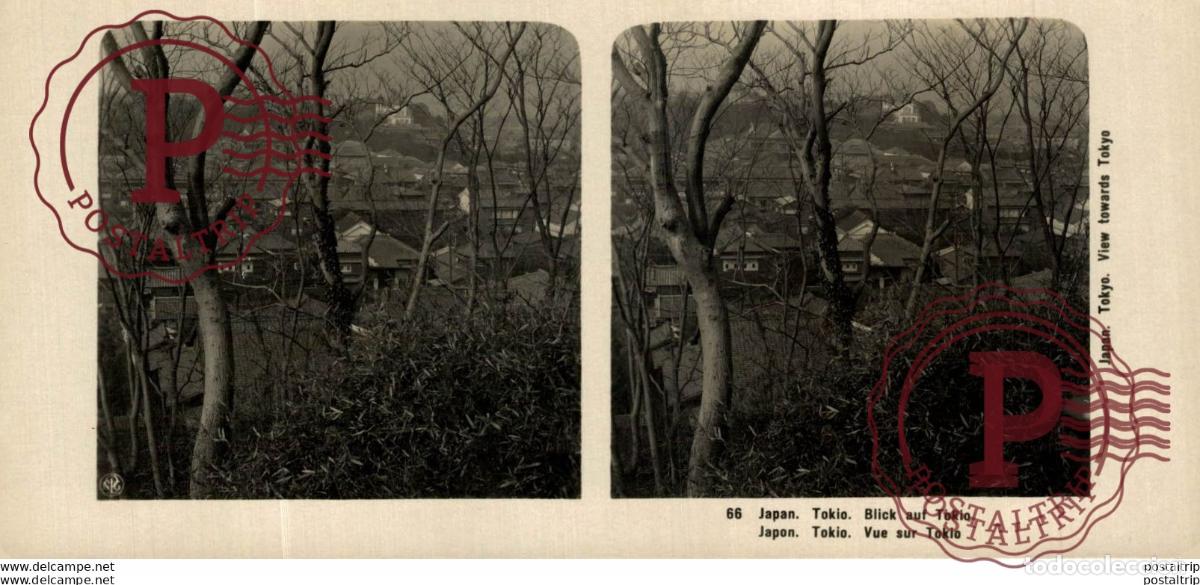 Fotograf&iacute;a antigua: JAPAN. JAPON. TOKIO. BLICK AUF TOKIO. ESTEREOSCOPICA - ST&Eacute;R&Eacute;OSCOPIQUE - STEREOSCOPIC