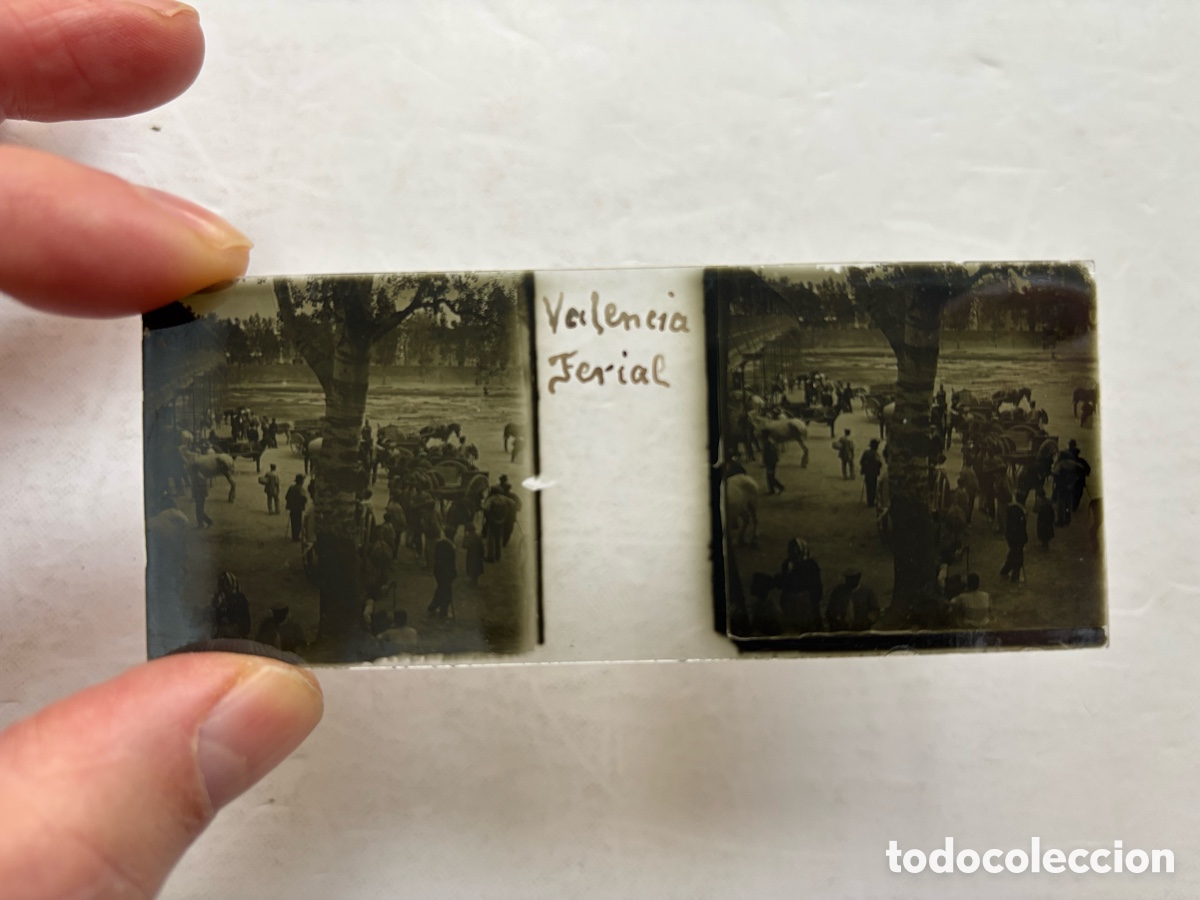 Fotograf&iacute;a antigua: VALENCIA, FERIA GANADO, CAUCE DEL RIO - ANTIGUA PLACA ESTEREOSCOPICA POSITIVO EN CRISTAL