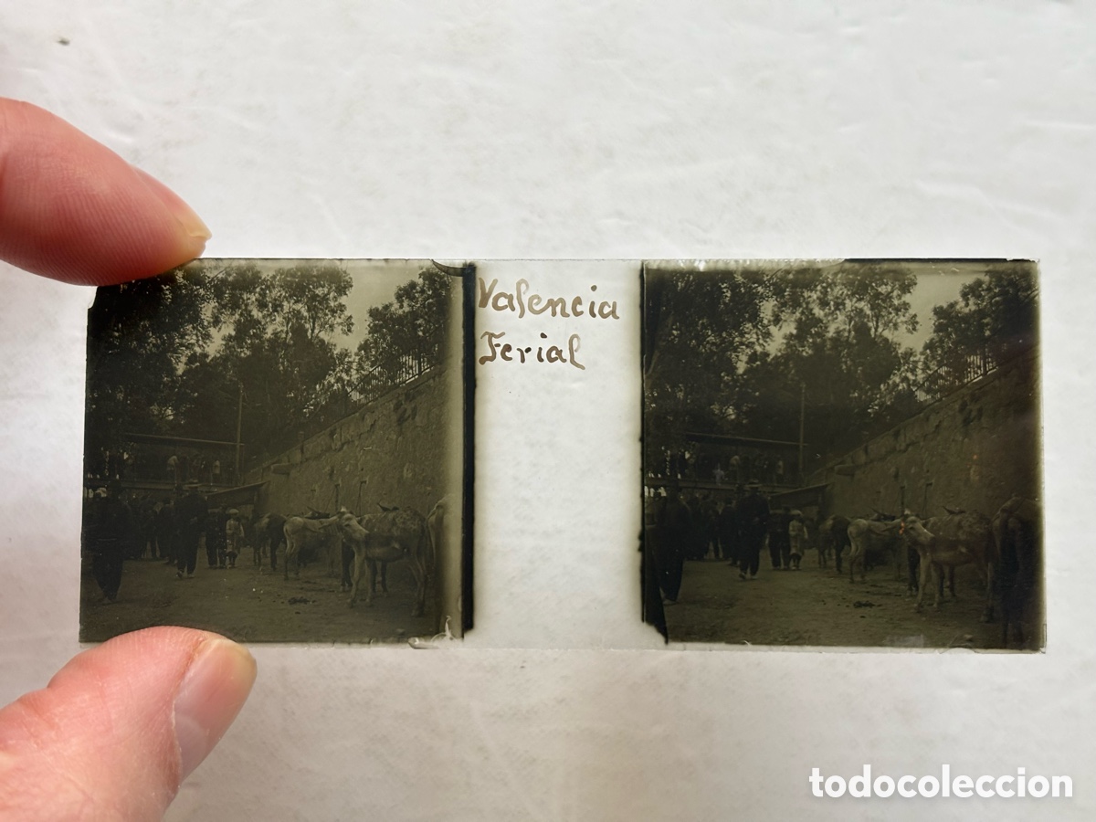 Fotograf&iacute;a antigua: VALENCIA, FERIA GANADO, CAUCE DEL RIO - ANTIGUA PLACA ESTEREOSCOPICA POSITIVO EN CRISTAL