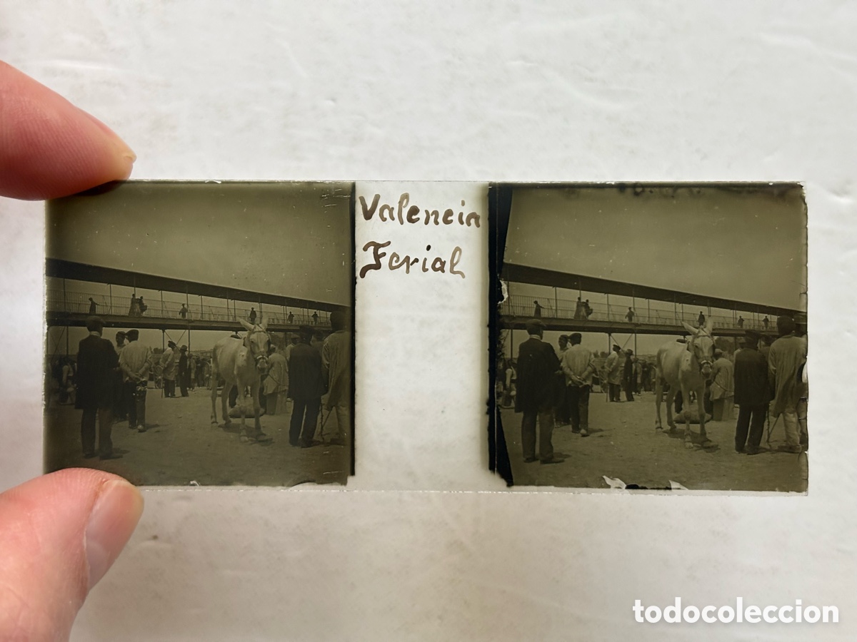 Fotograf&iacute;a antigua: VALENCIA, FERIA GANADO, CAUCE DEL RIO - ANTIGUA PLACA ESTEREOSCOPICA POSITIVO EN CRISTAL