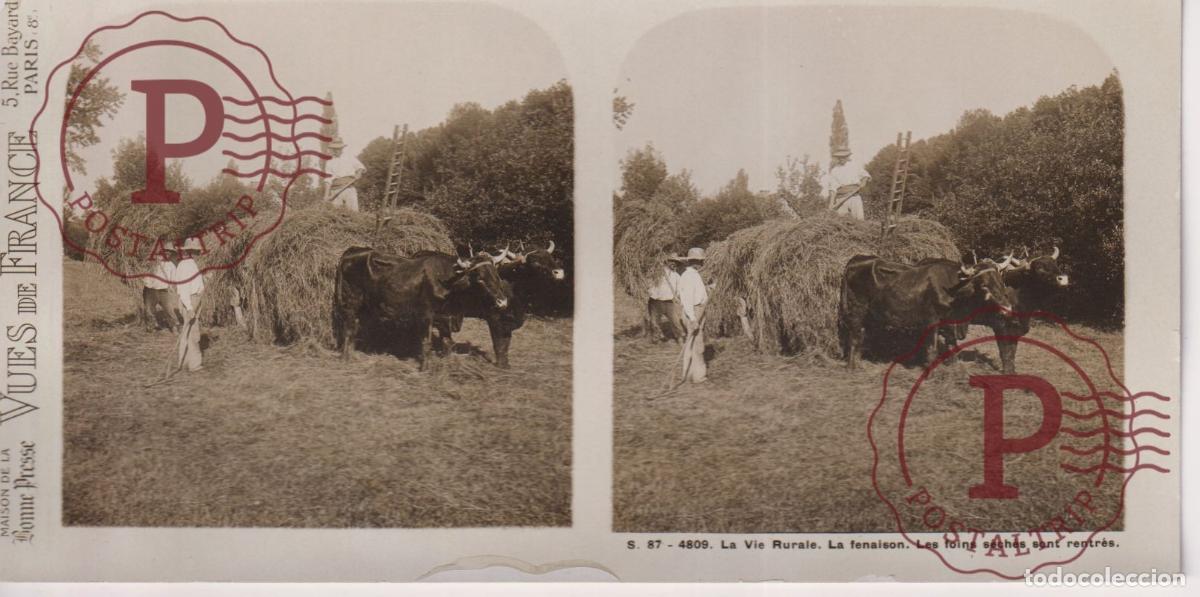 Antique Photography: VUES DE FRANCE. LA VIE RURALE, LA FENAISON. ESTEROSCOPICA ST&Eacute;R&Eacute;OSCOPIQUE STEREOSCOPIC +- 17.5X9CM
