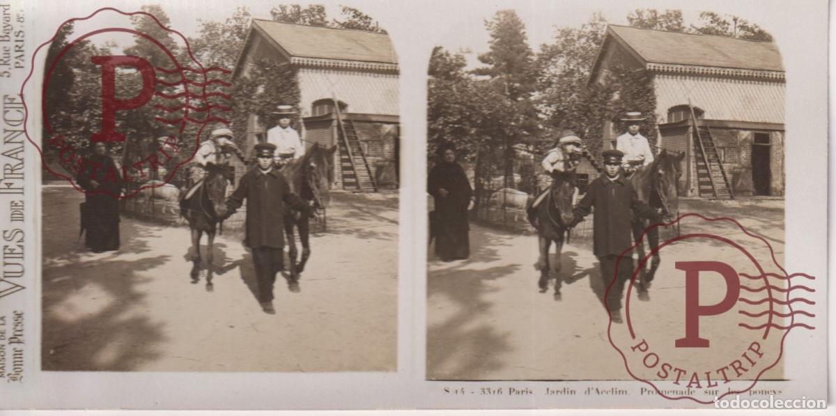 Fotograf&iacute;a antigua: VUES DE FRANCE. PARIS. JARDIN DACCLIMATATION. PONEYS. ESTEROSCOPICA ST&Eacute;R&Eacute;OSCOPIQUE STEREOSCOPIC +-