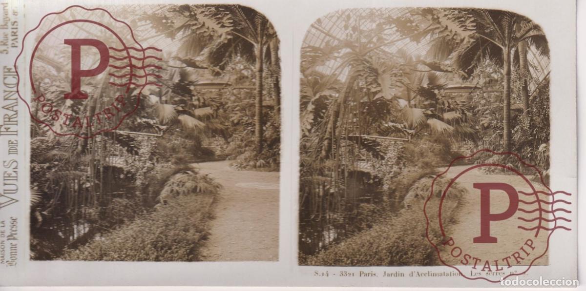 Fotograf&iacute;a antigua: VUES DE FRANCE. PARIS. JARDIN DACCLIMATATION. LES SERRES. ESTEROSCOPICA ST&Eacute;R&Eacute;OSCOPIQUE STEREOSCOPIC