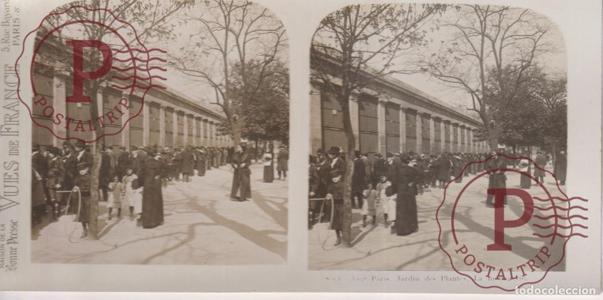 Fotografia antiga: VUES DE FRANCE JARDIN DE PLANTES. LE MENAGERIE. ESTEROSCOPICA ST&Eacute;R&Eacute;OSCOPIQUE STEREOSCOPIC +- 17.5X9C