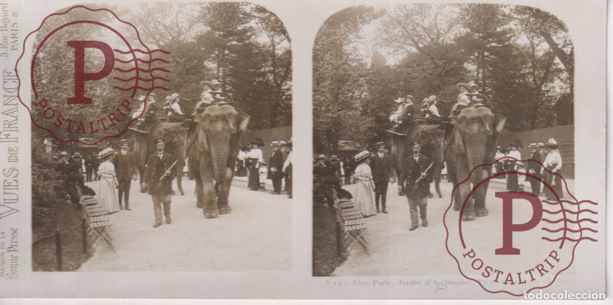 Fotografia antiga: VUES DE FRANCE JARDIN DE PLANTES. PROMENADE SUR ELEPHANTS. ESTEROSCOPICA ST&Eacute;R&Eacute;OSCOPIQUE STEREOSCOPIC
