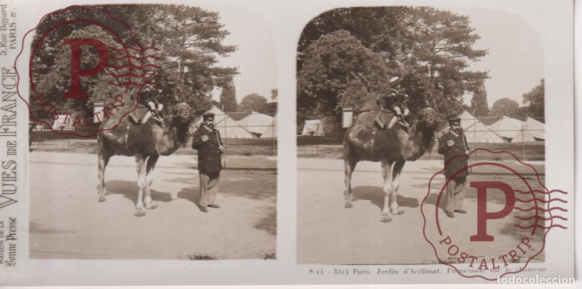Fotografia antiga: VUES DE FRANCE JARDIN DE PLANTES. PROMENADE SUR CHAMEAUX. ESTEROSCOPICA ST&Eacute;R&Eacute;OSCOPIQUE STEREOSCOPIC