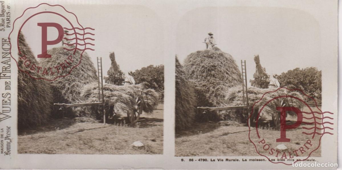 Fotograf&iacute;a antigua: VUES DE FRANCE. LA VIE RURALE, LA MOISSON. LES BLES MIS EN MEULE. ESTEROSCOPICA ST&Eacute;R&Eacute;OSCOPIQUE STERE