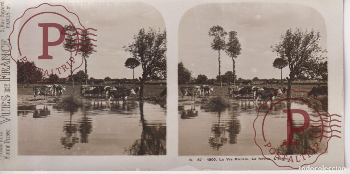 Fotograf&iacute;a antigua: VUES DE FRANCE. LA VIE RURALE, LA FERME LETANG. ESTEROSCOPICA ST&Eacute;R&Eacute;OSCOPIQUE STEREOSCOPIC +- 17.5X