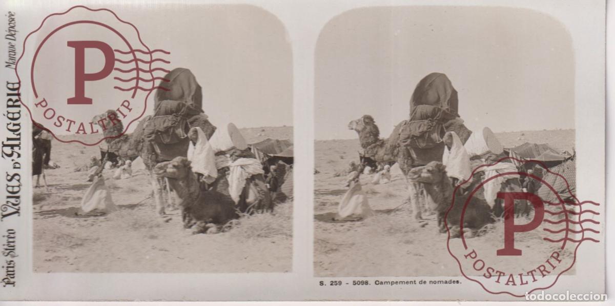 Fotograf&iacute;a antigua: VUES DALGERIE. ARGELIA. BISKRA. CAMPEMENT DE NOMADES. ESTEROSCOPICA ST&Eacute;R&Eacute;OSCOPIQUE STEREOSCOPIC +-