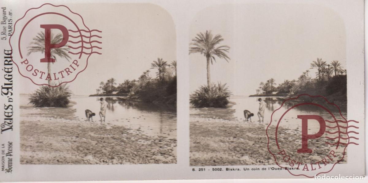 Fotograf&iacute;a antigua: VUES DALGERIE. ARGELIA. BISKRA. UN COIN DE LOUED BISKRA. ESTEROSCOPICA ST&Eacute;R&Eacute;OSCOPIQUE STEREOSCOPIC
