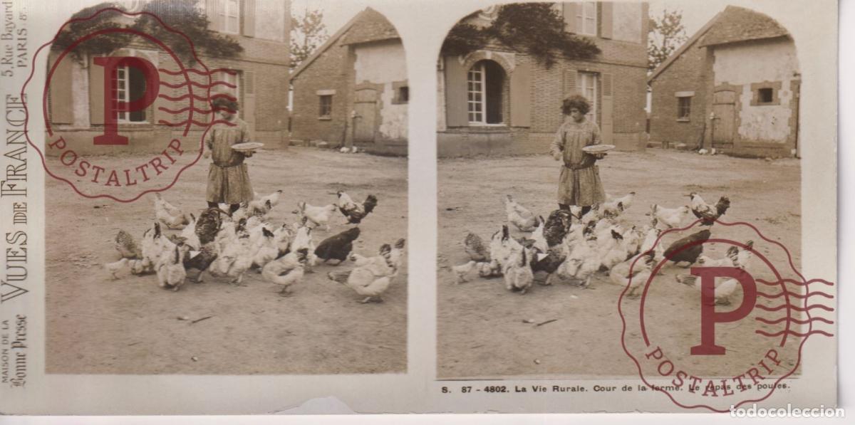 Fotograf&iacute;a antigua: VUES DE FRANCE. LA VIE RURALE COUR DE LA FERME LE REPAS DES POULES ESTEROSCOPICA ST&Eacute;R&Eacute;OSCOPIQUE STER