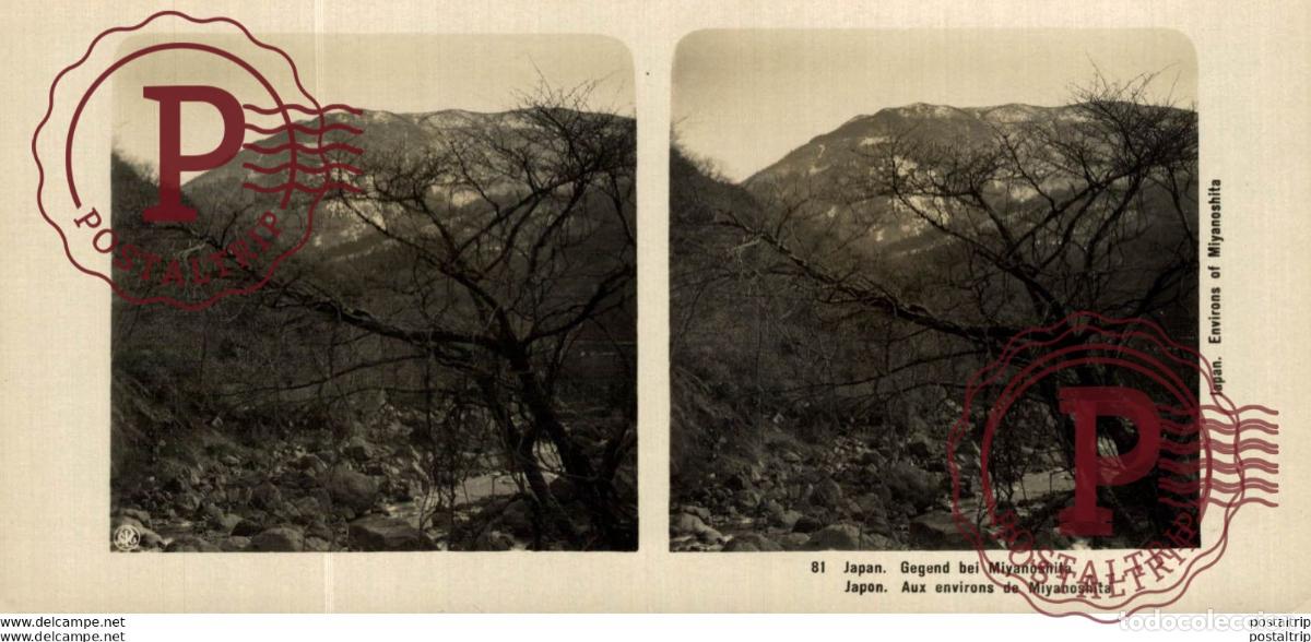 Fotograf&iacute;a antigua: JAPAN. JAPON. GEGEND BEI MIYANOSHITA. ESTEREOSCOPICA - ST&Eacute;R&Eacute;OSCOPIQUE - STEREOSCOPIC