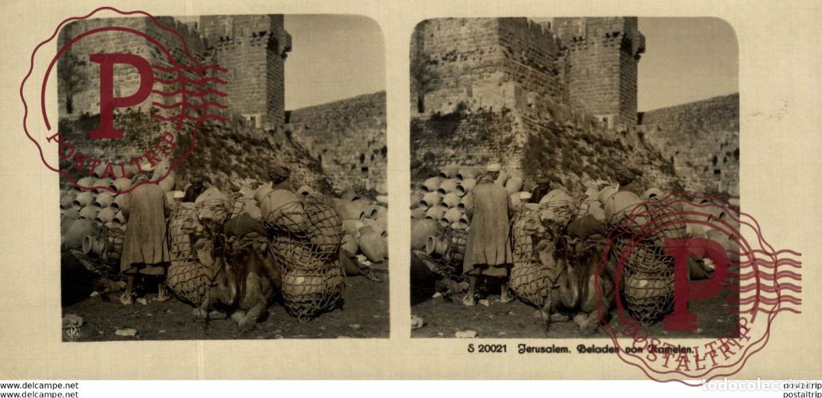 Fotograf&iacute;a antigua: JERUSALEM. BELADEN VON KAMELEN. ESTEREOSCOPICA - ST&Eacute;R&Eacute;OSCOPIQUE - STEREOSCOPIC