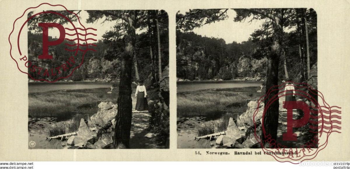Fotograf&iacute;a antigua: NORUEGA. NORWEGE. BAVNDAL BEI CHRISTIANSSAND - ST&Eacute;R&Eacute;OSCOPIQUE - STEREOSCOPIC