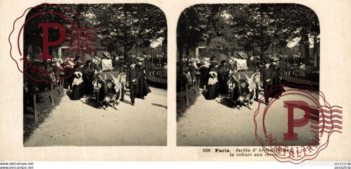 Photographie ancienne: FRANCIA FRANCE. PARIS. JARDIN DACCLIMATATION: LA VOITURE AUX CHEVRES - ESTEREOSCOPICA - ST&Eacute;R&Eacute;OSCOP