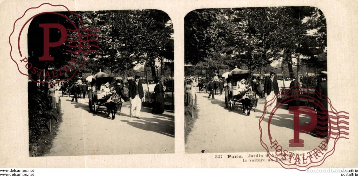 Antique Photography: FRANCIA FRANCE. PARIS. JARDIN DACCLIMATATION LA VOITURE AU BUFFLE - ESTEREOSCOPICA - ST&Eacute;R&Eacute;OSCOPIQU