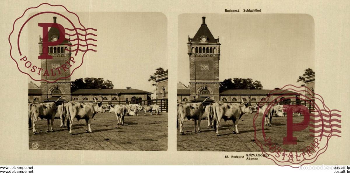 Fotografia antica: HUNGRIA HUNGARY. BUDAPEST SCHLACHTHOF - ESTEREOSCOPICA - ST&Eacute;R&Eacute;OSCOPIQUE - STEREOSCOPIC