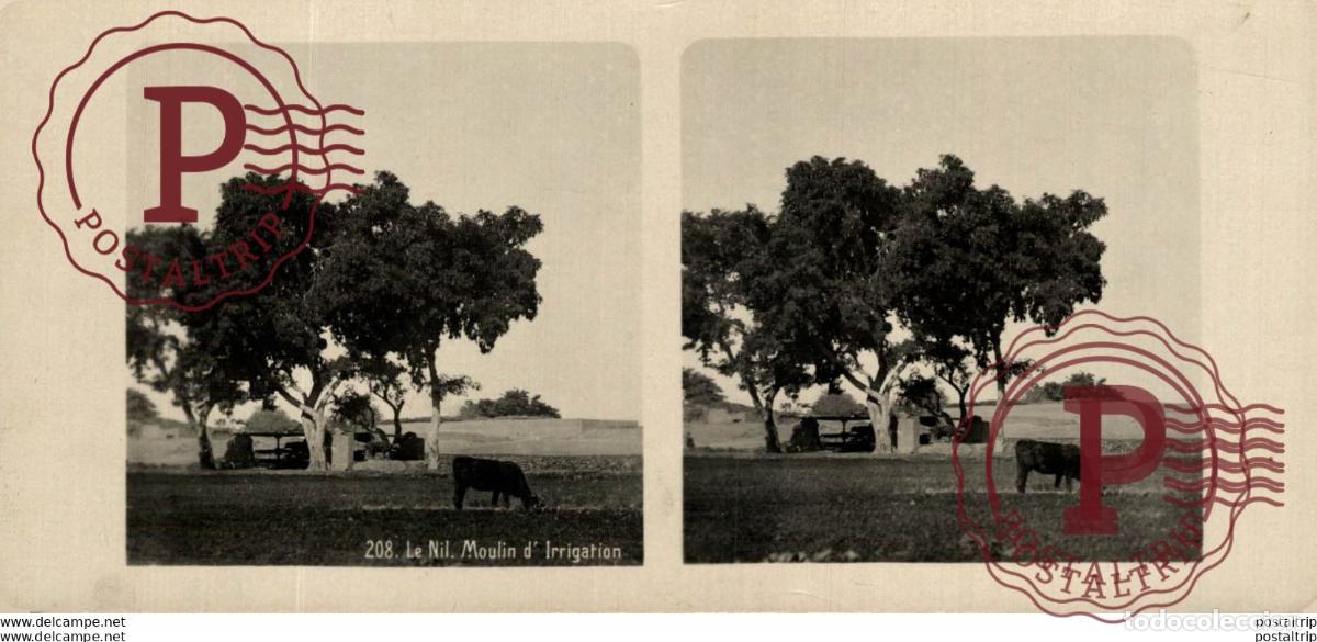 Fotografia antica: EGIPTO. EGYPTE. LE NIL. MOULIN DIRRIGATION - ESTEREOSCOPICA - ST&Eacute;R&Eacute;OSCOPIQUE - STEREOSCOPIC