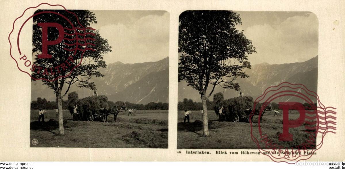Fotografia antica: SUIZA. SWITZERLAND. INTERLAKE. BLICK VOM HOHEWEG AUF DIE SCHYNIGE PLATTE ESTEREOSCOPICA - ST&Eacute;R&Eacute;OSCO