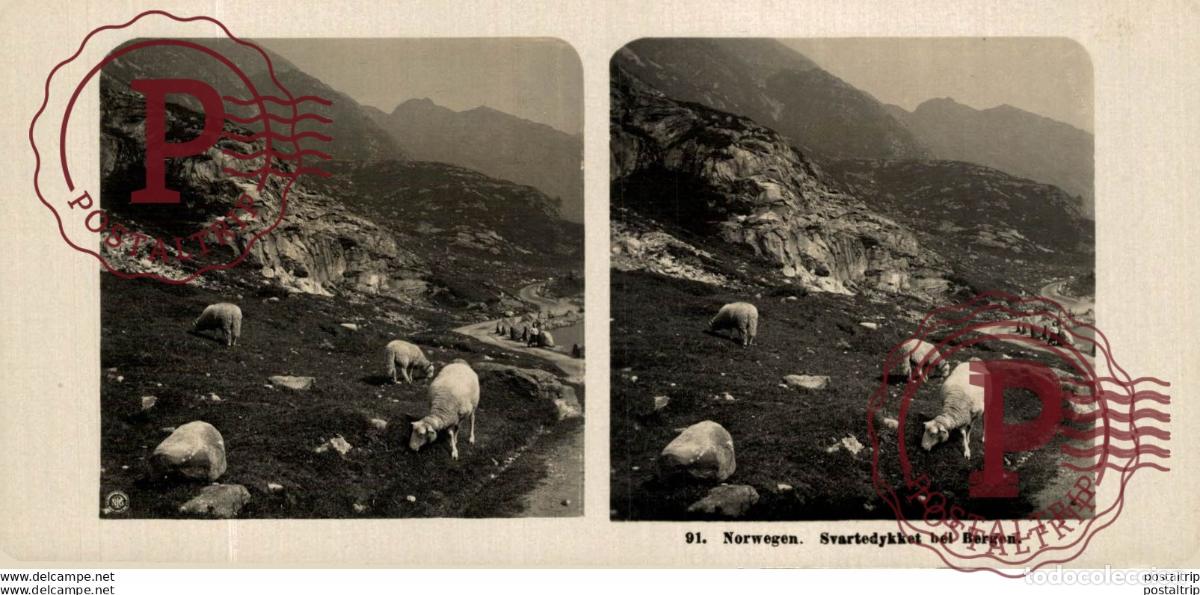 Fotografia antica: NORUEGA. NORWEGEN. SVARTEDYKKET BEI BERGEN - ESTEREOSCOPICA - ST&Eacute;R&Eacute;OSCOPIQUE - STEREOSCOPIC