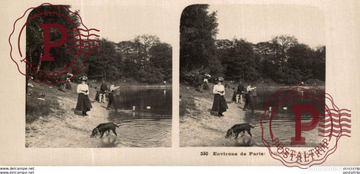 Fotografia antica: FRACIA FRANCE. ENVIRONS DE PARIS. VILLEBON LETANG - ESTEREOSCOPICA - ST&Eacute;R&Eacute;OSCOPIQUE - STEREOSCOPIC