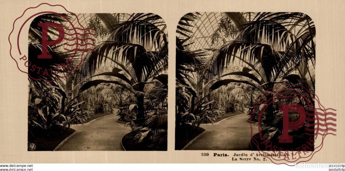 Antique Photography: FRANCIA FRANCE. JARDIN DACCLIMATATION. LA SERRE N&ordm;2 - ESTEREOSCOPICA - ST&Eacute;R&Eacute;OSCOPIQUE - STEREOSCOP