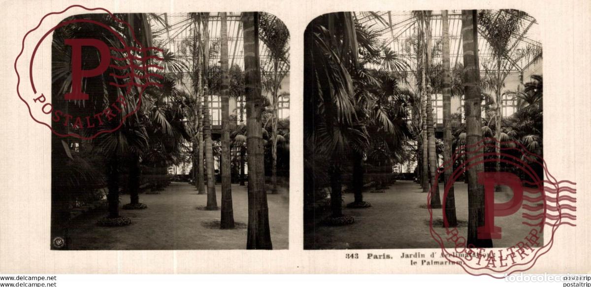 Antique Photography: FRANCIA FRANCE. JARDIN DACCLIMATATION. LE PALMARIUM - ESTEREOSCOPICA - ST&Eacute;R&Eacute;OSCOPIQUE - STEREOSCOP