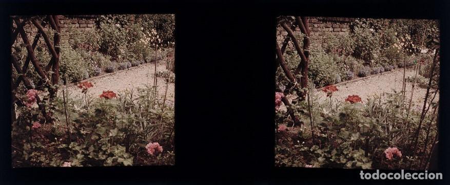 Fotograf&iacute;a antigua: AUTOCROMO ESTEREOSCOPICO DE CRISTAL FORMATO 4.5 X 10.7 cm.