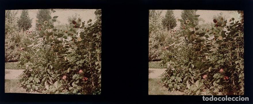 Fotograf&iacute;a antigua: AUTOCROMO ESTEREOSCOPICO DE CRISTAL FORMATO 4.5 X 10.7 cm.