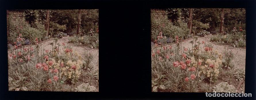 Fotograf&iacute;a antigua: AUTOCROMO ESTEREOSCOPICO DE CRISTAL FORMATO 4.5 X 10.7 cm.
