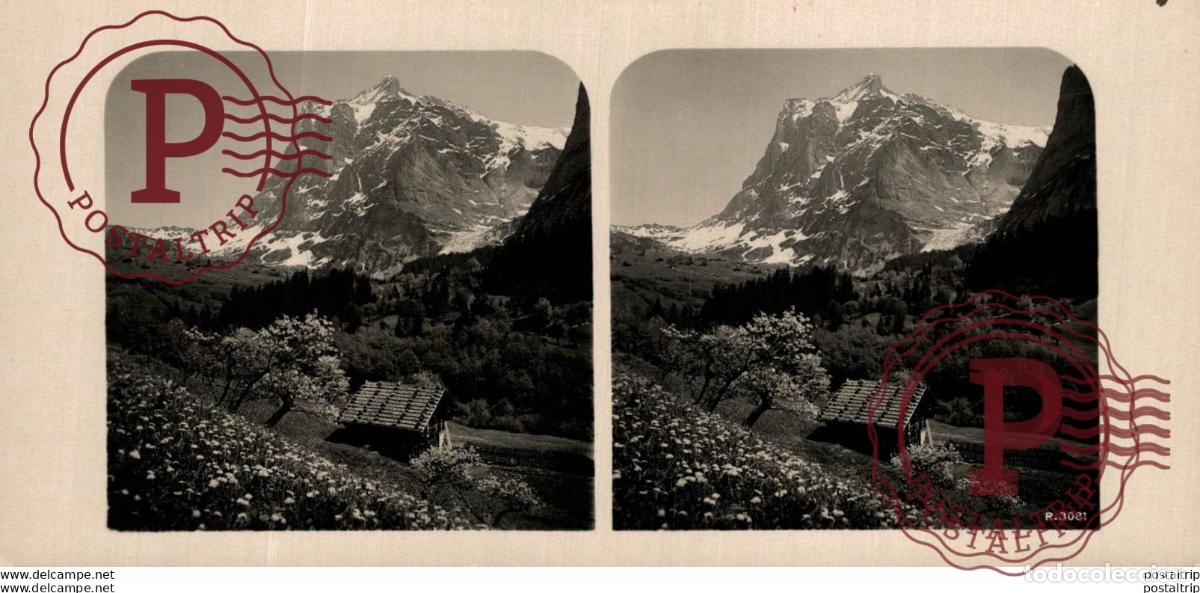 Fotografia antiga: SUIZA SWITZERLAND. GRINDELWALD, WETTERHORN. -ESTEREOSCOPICA - ST&Eacute;R&Eacute;OSCOPIQUE - STEREOSCOPIC