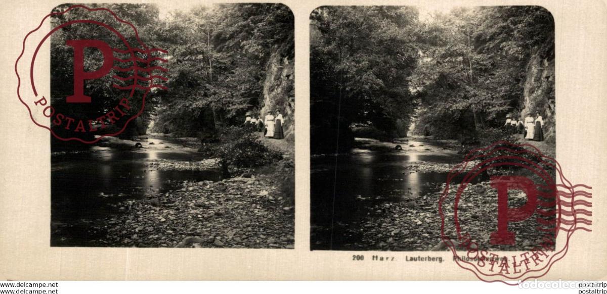 Fotograf&iacute;a antigua: ALEMANIA GERMANY. HARZ. LAUTERBERG. PHILOSOPHENWEG. - ESTEREOSCOPICA - ST&Eacute;R&Eacute;OSCOPIQUE - STEREOSCOPI