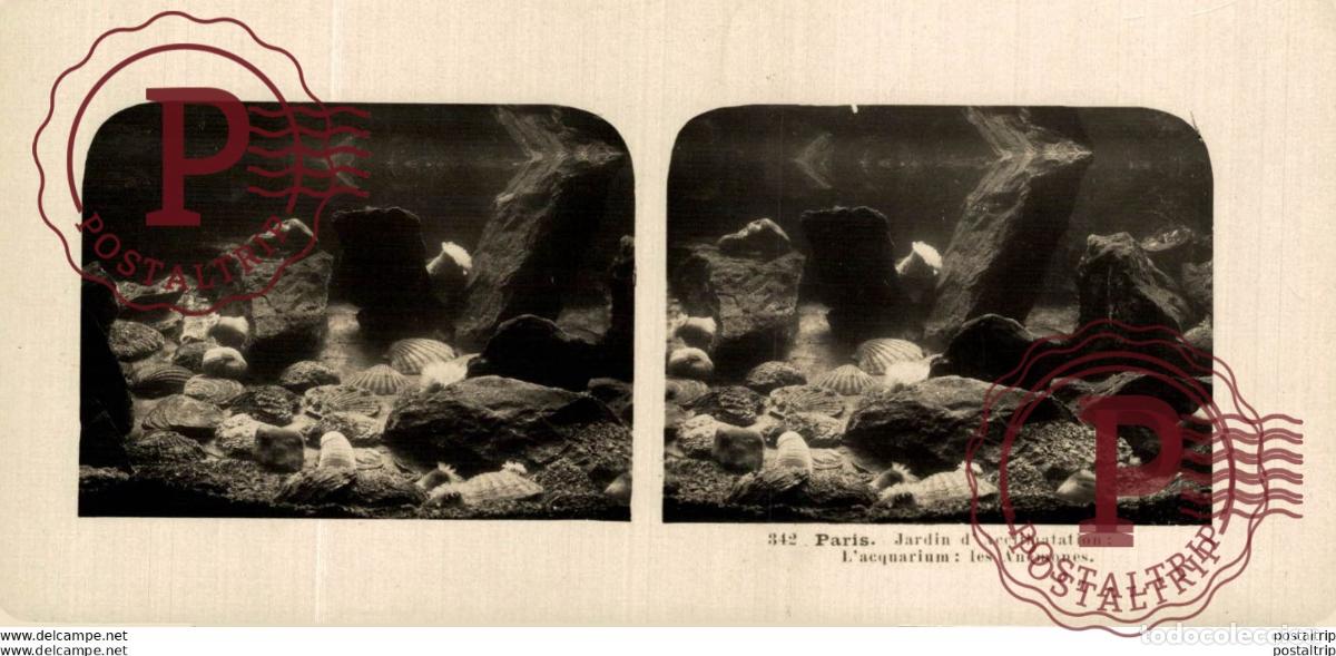 Fotografia antiga: 342 Paris, Jardin d Acelimatation, LAcquarium. ESTEREOSCOPICA. ST&Eacute;R&Eacute;OSCOPIQUE. STEREOSCOPIC
