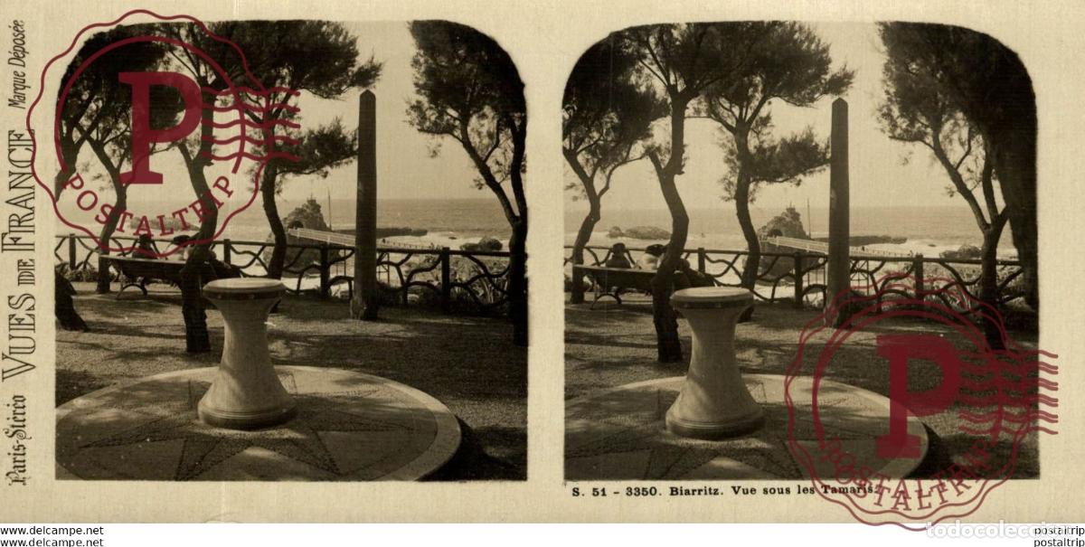 Fotografia antica: FRANCIA FRANCE. BIARRTIZ. VUE SOUS LES TAMARIS. - ESTEREOSCOPICA - ST&Eacute;R&Eacute;OSCOPIQUE - STEREOSCOPIC