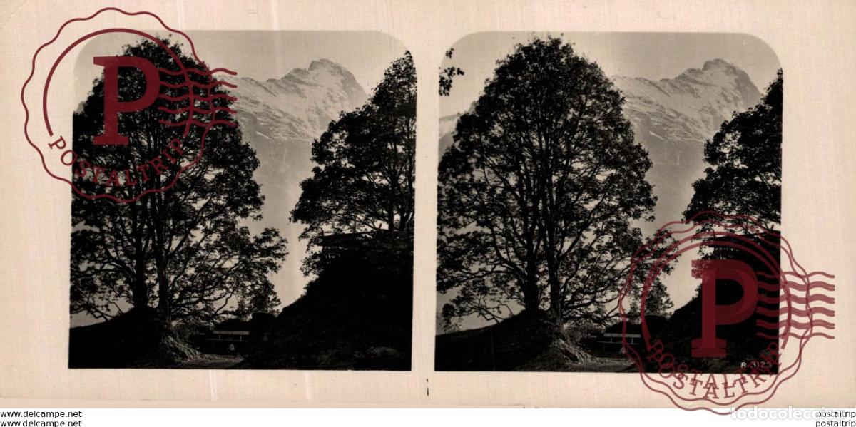 Fotografia antica: 3123 Am Wegw zum Gletscher. ESTEREOSCOPICA. ST&Eacute;R&Eacute;OSCOPIQUE. STEREOSCOPIC