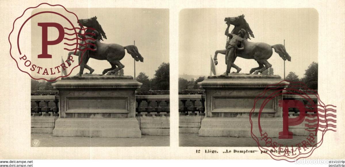 Fotografia antica: 12 Li&eacute;ge. Le Domptur par Detombey. ESTEREOSCOPICA. ST&Eacute;R&Eacute;OSCOPIQUE. STEREOSCOPIC