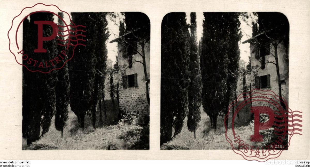 Fotograf&iacute;a antigua: -ESTEREOSCOPICA - ST&Eacute;R&Eacute;OSCOPIQUE - STEREOSCOPIC