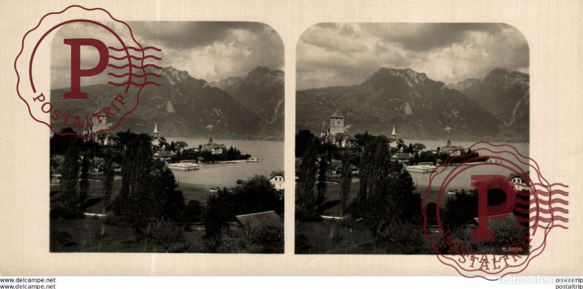 Alte Fotografie: SUIZA SWITZERLAND. SPIEZ UND RALLIGSTOCKE. -ESTEREOSCOPICA - ST&Eacute;R&Eacute;OSCOPIQUE - STEREOSCOPIC