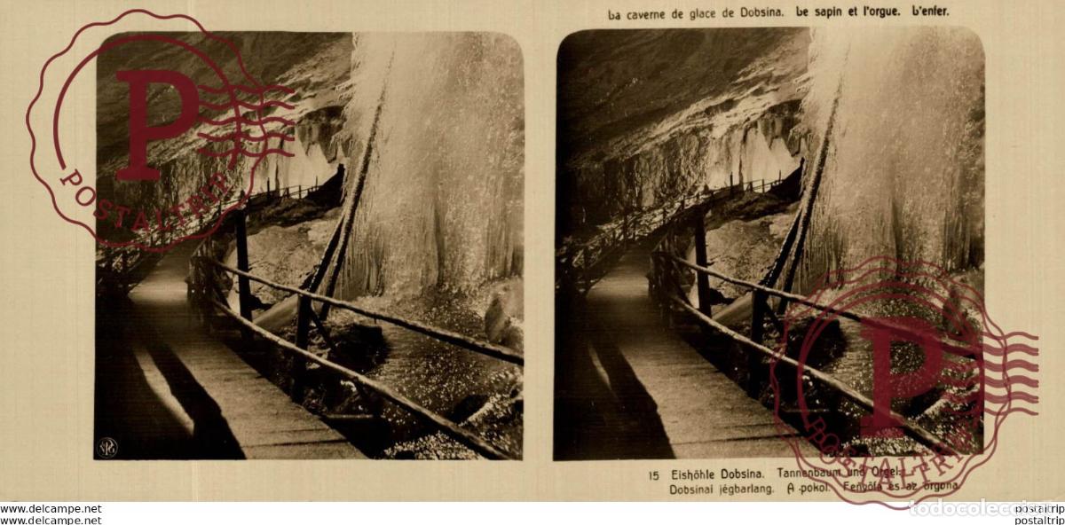 Alte Fotografie: 15 Eish&ouml;le Dobsina. Tannenbaum und Orgel. ESTEREOSCOPICA. ST&Eacute;R&Eacute;OSCOPIQUE. STEREOSCOPIC