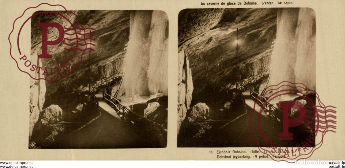 Alte Fotografie: 14 Eish&ouml;le Dobsina. H&ouml;lle, Tannenbaum. ESTEREOSCOPICA. ST&Eacute;R&Eacute;OSCOPIQUE. STEREOSCOPIC