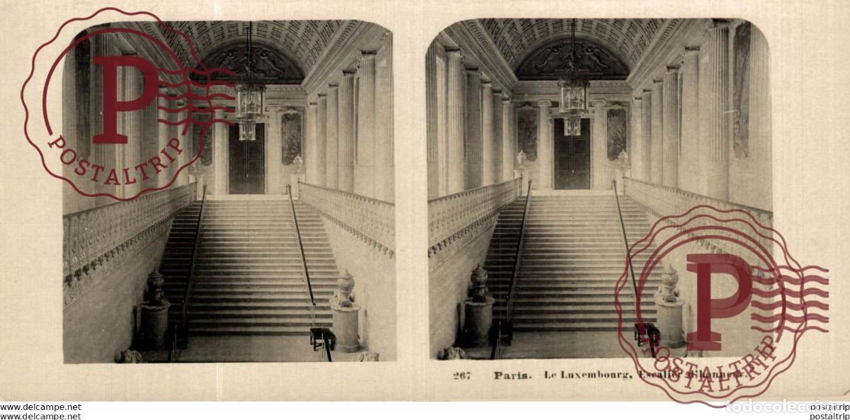 Fotograf&iacute;a antigua: 267 Paris, Le Luxembourg. Escalier dhonneur. ESTEREOSCOPICA. ST&Eacute;R&Eacute;OSCOPIQUE. STEREOSCOPIC