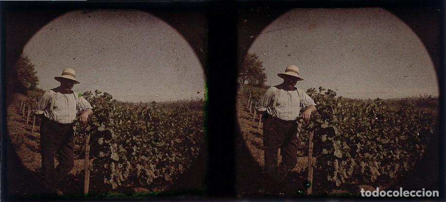 Antique Photography: AUTOCROMO ESTEREOSCOPICO DE CRISTAL FORMATO 6 X 13 CM.