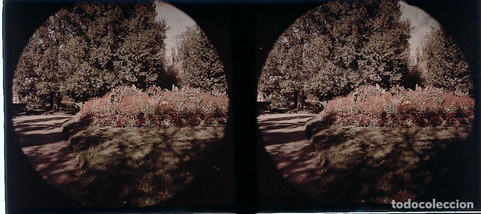 Fotografia antiga: AUTOCROMO ESTEREOSCOPICO DE CRISTAL FORMATO 6 X 13 CM.
