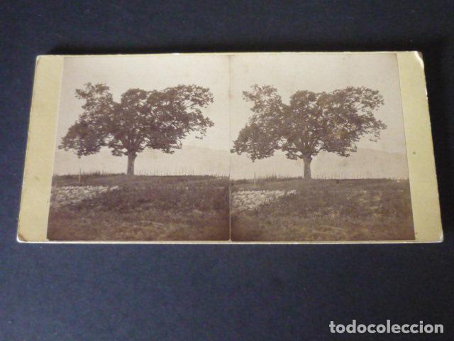 Fotografia antica: SAINT DIE DES VOSGES FRANCIA VISTA ESTEREOSCOPICA SIGLO XIX