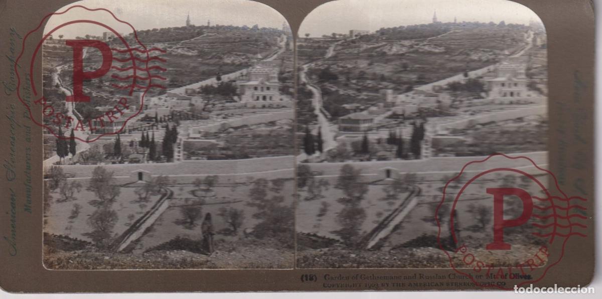 Fotograf&iacute;a antigua: GARDEN OF GETHSEMANE AND RUSSIAN CHURCH OR MT OF OLIVES. ESTEREOSCOPICA STEREOSCOPIC +-18X9CM